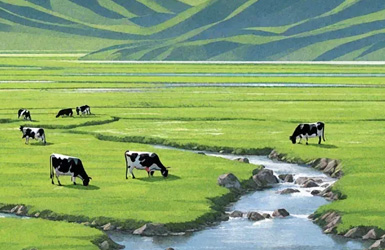 匠心工艺和无添加的纯粹